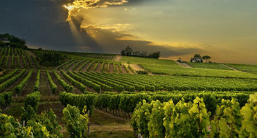 Аренда вилл во Франции — Снять дом, шале или виллу во Франции