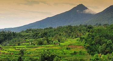 Снять дом в Индонезии — Аренда вилл в Индонезии, домов, коттеджей по выгодной цене
